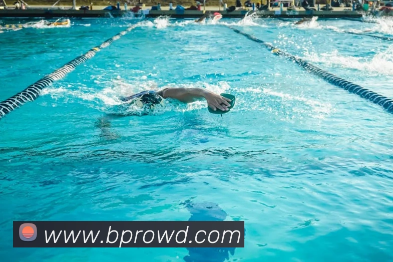 问鼎28APP 封面图